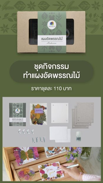 แผงอัดพรรณไม้ แผงอัดพรรณไม้