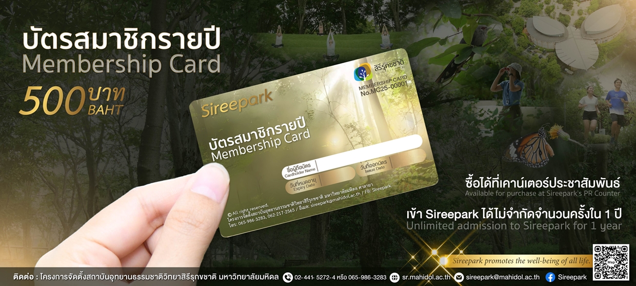 member card