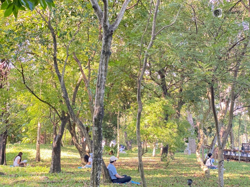 595993025_1298381128998752_1535339332745145713_n