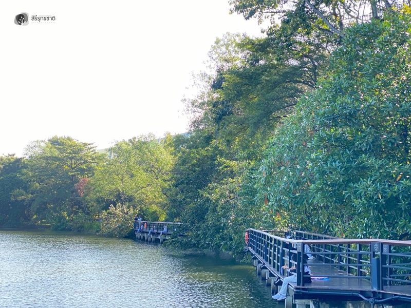 596626529_1298380978998767_8656200901515108215_n