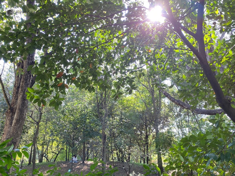 596805779_1298381188998746_3613225703650928879_n