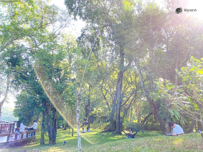 597796981_1298380995665432_6855607852247094859_n