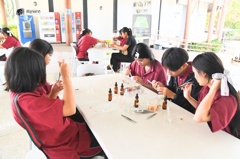 597841609_1297697919067073_7146078185190676184_n